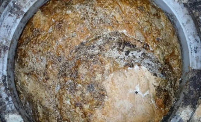 Vidange d'un bac à graisse à Oullins, Beynost, NOVEAX